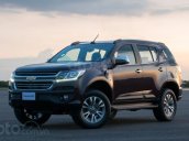 Bán Chevrolet Trailblazer 2.5L MT 4x2 đời 2019, xe nhập, giá tốt