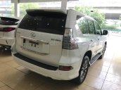 Bán Lexus GX460 màu trắng, sản xuất năm 2017 đăng ký cá nhân