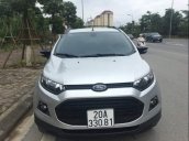 Cần bán gấp Ford EcoSport Black Edition năm sản xuất 2017, màu bạc