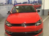 Bán Volkswagen Polo 1.6AT đời 2018, màu đỏ, nhập khẩu 