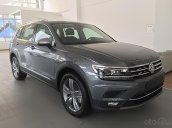 Bán xe Volkswagen Tiguan Allspace đời 2018, màu xám, nhập khẩu