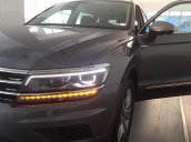 Bán xe Volkswagen Tiguan Allspace đời 2018, màu xám, nhập khẩu