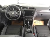 Bán xe Volkswagen Tiguan Allspace đời 2018, màu xám, nhập khẩu