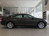 Xe "nhập Đức" Volkswagen Passat, miễn thuế trước bạ kèm quà tặng đi kèm