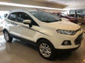 Bán Ford Ecosport Titanium 2017, đi 5000 km, xe bán và bảo hành tại hãng Ford