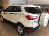 Bán Ford Ecosport Titanium 2017, đi 5000 km, xe bán và bảo hành tại hãng Ford