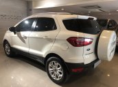 Bán Ford Ecosport Titanium 2017, đi 29000 km. Xe bán và bảo hành tại hãng Ford