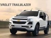 Bán xe Chevrolet Trailblazer sản xuất năm 2019, xe nhập, giao nhanh