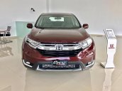 Cần bán Honda CR V L năm sản xuất 2019, màu đỏ, xe nhập