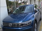 Bán ô tô Volkswagen Tiguan Allspace sản xuất 2018, màu xanh lam, nhập khẩu