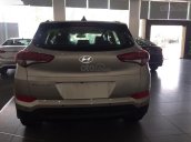 Cần bán Hyundai Tucson năm sản xuất 2019