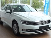 Cần bán xe Volkswagen Passat Bluemotion 2018, nhập khẩu nguyên chiếc