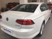 Cần bán xe Volkswagen Passat Bluemotion 2018, nhập khẩu nguyên chiếc