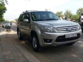 Bán Ford Escape XLS 4×2 sản xuất 2008, màu bạc, nhập khẩu