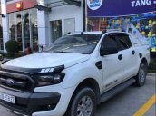 Cần bán lại xe Ford Ranger sản xuất năm 2017, màu trắng, xe nhập như mới