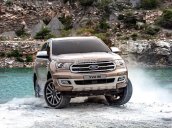 Ford Everest 2.0 Biturbo 2019, nhập khẩu, giá tốt nhất thị trường, xe giao ngay 