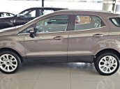 Bán Ford Ecosport 2019, tặng ngay: BHVC, dán phim, camera hành trình, lót sàn, giao toàn quốc, vay 80%, trả trước 130tr