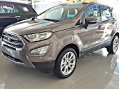 Bán Ford Ecosport 2019, tặng ngay: BHVC, dán phim, camera hành trình, lót sàn, giao toàn quốc, vay 80%, trả trước 130tr