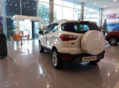 Bán Ford EcoSport năm sản xuất 2019, màu trắng, giá chỉ 535 triệu