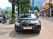 Cần bán xe BMW 5 Series 520i 2015, bản full option siêu đẹp