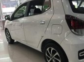 Bán Toyota Wigo sản xuất năm 2019, màu trắng, nhập khẩu 