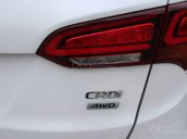 Cần bán Hyundai Santa Fe 2.2L sản xuất 2016