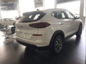 Bán xe Hyundai Tucson đời 2019, màu trắng, xe nhập