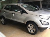 Bán Ford EcoSport đời 2019, màu bạc, giá tốt