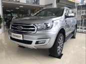 Cần bán Ford Everest đời 2019, màu bạc, nhập khẩu nguyên chiếc, thiết kế hiện đại, tiện nghi