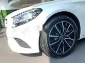 Bán Mercedes C200 năm 2019, màu trắng, xe nhập