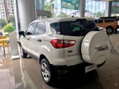 Ford EcoSport sản xuất 2019, màu trắng, bán trả góp