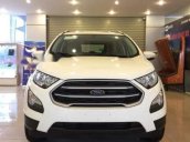 Bán xe Ford EcoSport đời 2019, màu trắng, nhập khẩu