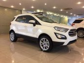 Bán xe Ford EcoSport đời 2019, màu trắng, nhập khẩu