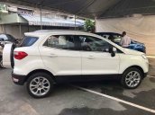 Bán xe Ford EcoSport đời 2019, màu trắng, nhập khẩu