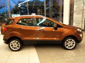 Ford EcoSport mới - tặng BHVC+ PK: Film 3M, camera, sàn, DVD, vè che mưa, đủ màu, giá cạnh tranh