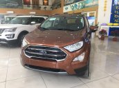 Bán xe Ford EcoSport Ecosport Titanium 1.5L sản xuất 2019