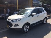 Bán Ford EcoSport 2015 AT bản Titanium