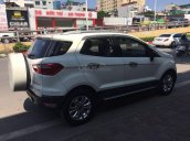 Bán Ford EcoSport 2015 AT bản Titanium