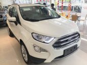 Bán Ford EcoSport đời 2019, màu trắng, giá tốt