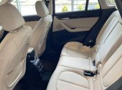 Bán BMW X1 sDrive18i năm sản xuất 2018, màu nâu, xe nhập