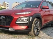 Cần bán Hyundai Kona đời 2019, màu sắc bắt mắt và độc đáo