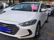 Cần bán gấp Hyundai Elantra sản xuất 2017, màu trắng số tự động