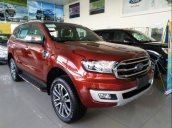 Bán Ford Everest đời 2019, màu đỏ, nhập khẩu  