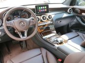 Bán ô tô Mercedes GLC 200 2019 - Chỉ 480 triệu sở hữu ngay