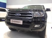 Bán Ford Everest Ambiente 2.0 4x2 AT đời 2019, màu đen, nhập khẩu