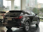 Bán ô tô Lexus RX 300 sản xuất 2019, màu đen, xe nhập