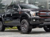 Bán ô tô Ford F150 Harley Davidson 5.0 SX 2019, màu đen, mới 100%