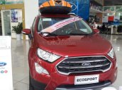 Bán Ford Ecosport 2019 đủ màu, ưu đãi tiền mặt + Phụ kiện chính hãng