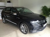 Cần bán xe nhập khẩu Volkswagen Tiguan Allspace - 2018 - Màu đen