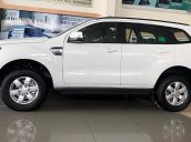 Bán ô tô Ford Everest sản xuất năm 2019, màu trắng, nhập khẩu nguyên chiếc